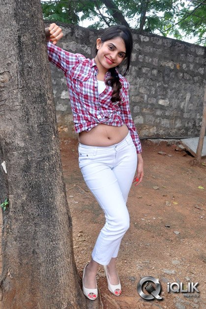 Sheena-Shahabadi-at-Nuvve-Naa-Bangaram-Press-Meet